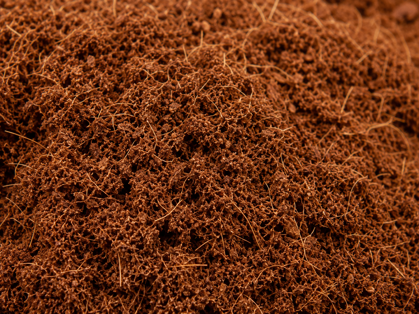 Cocopeat Texture