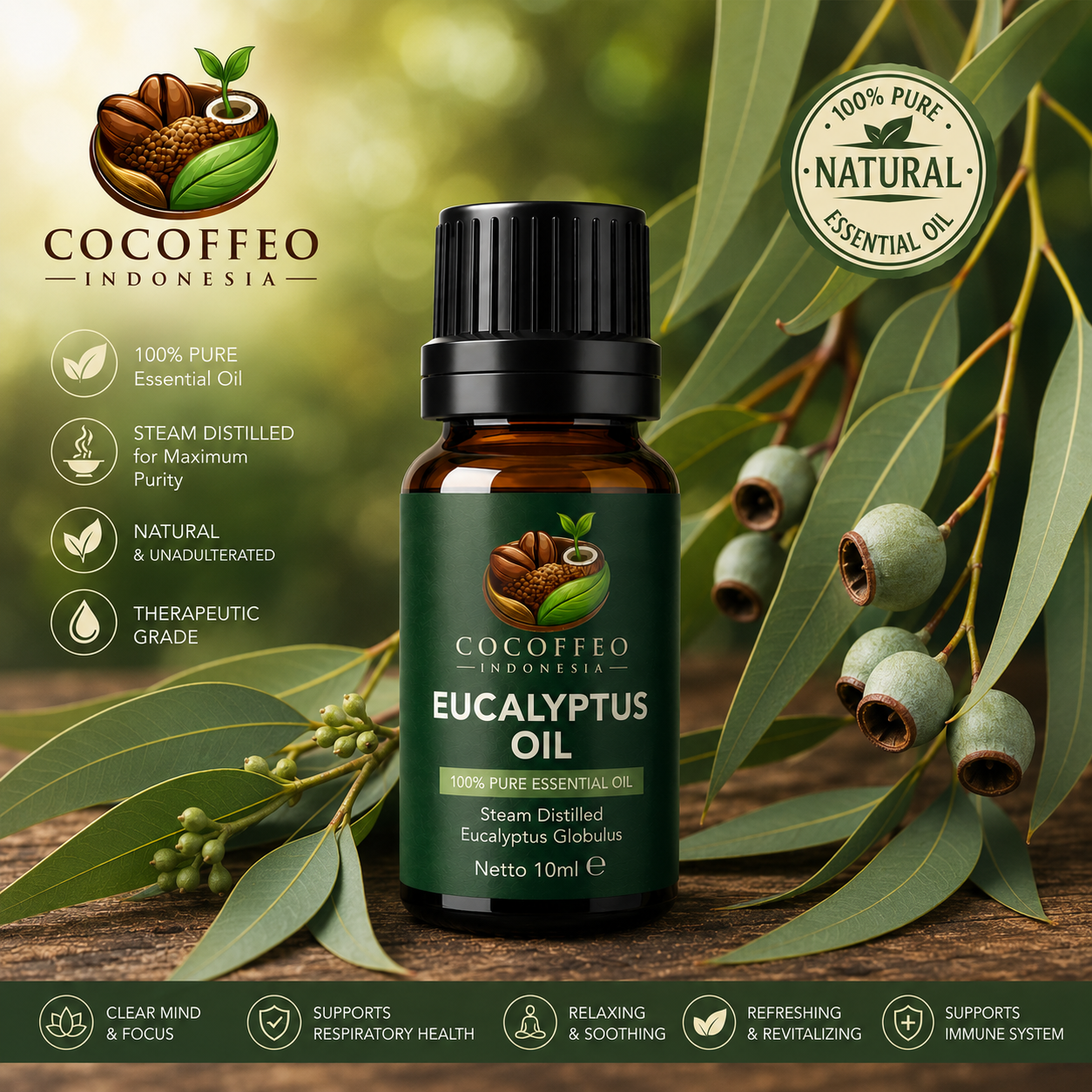 Eucalyptus