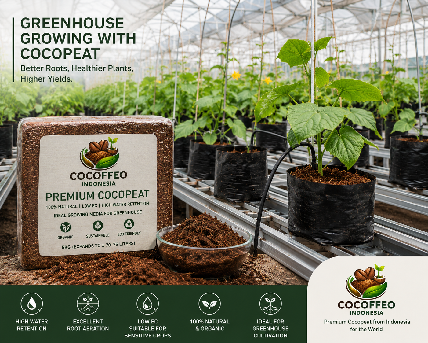 Green House